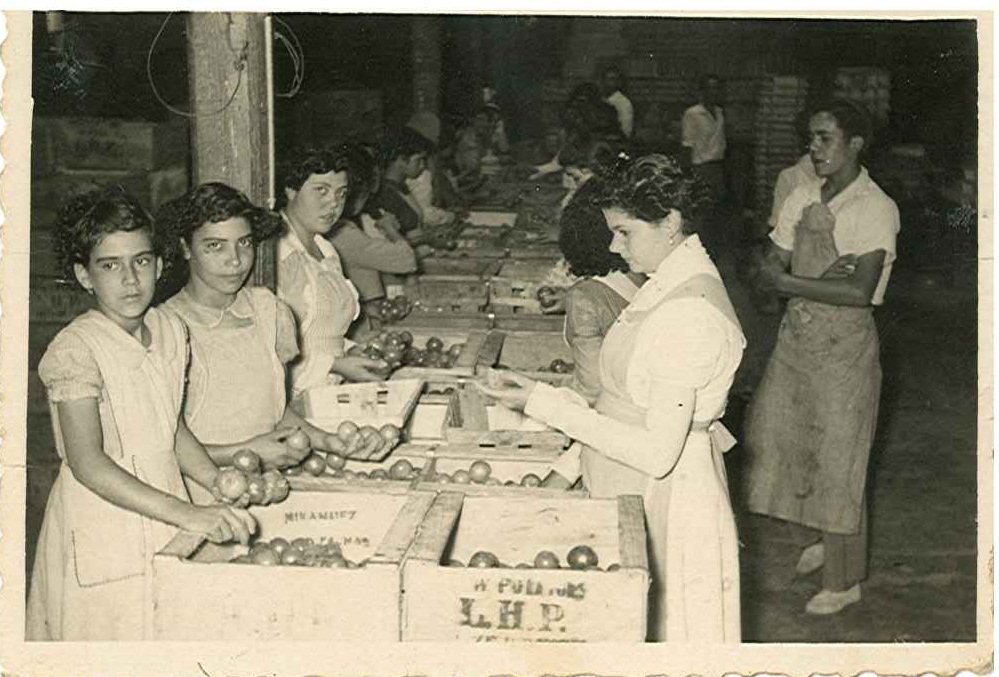 Empaquetadoras de tomate en 1956 Fondo Fedac
